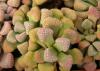 Titanopsis  schwantesii Klein Karas