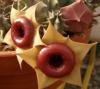 Huernia insigniflora - Кактусы и суккуленты из Харькова от Оли и Сергея Мирошниченко